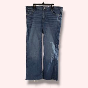 American Eagle Outfitters Straight Leg Blue Jeans